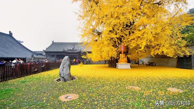 秋日出行有许多适宜的城市，以下为你推荐五座：