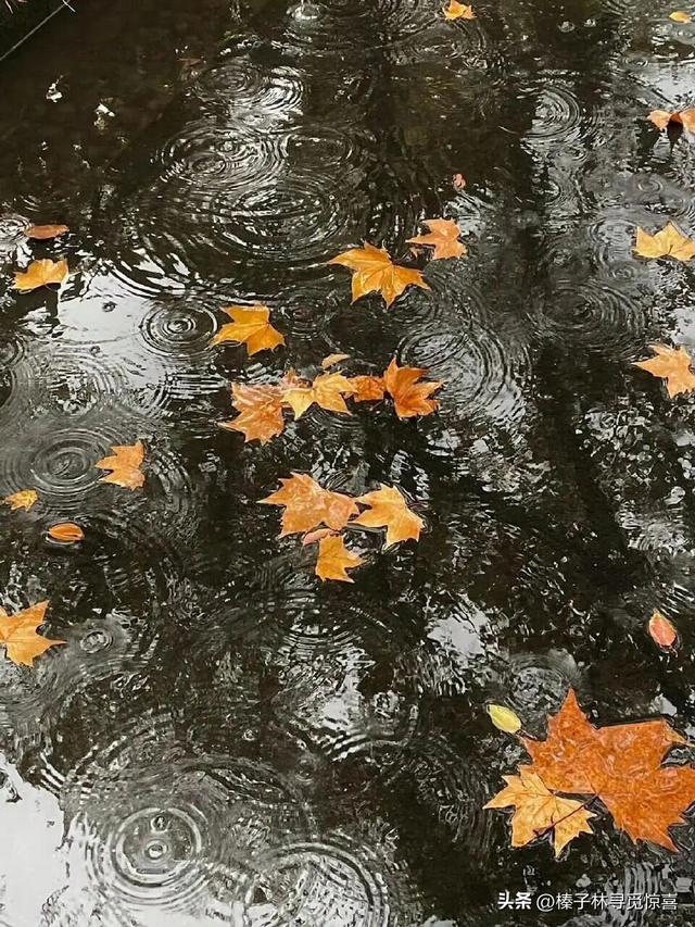 “下雨了这么发，能把人笑死”的搞笑句子