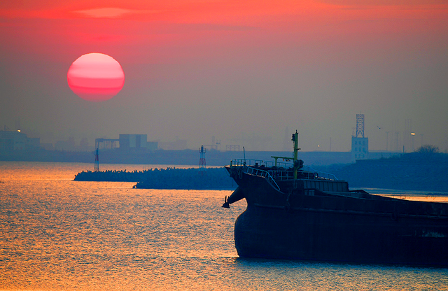此时的太仓，美到心尖上！