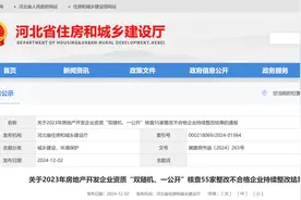 房地产开发企业躺平了呀！石家庄24家企业未按照要求提交资料图片