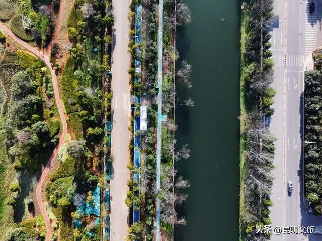 超详细攻略！在昆明官渡，与鸥共舞，六种玩法开启冬日漫游！