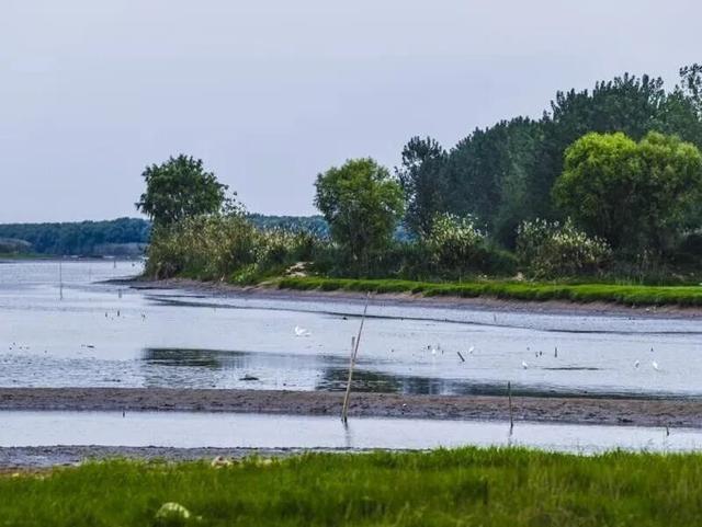 22℃！气温回升！这份温差版江北限定出游指南收好！