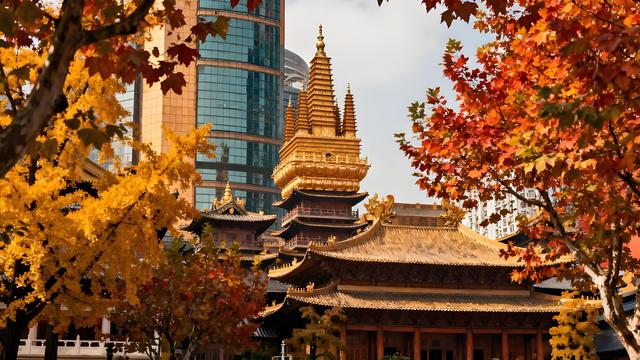 打卡金秋中国！申城秋赋：烟火与诗意交织的斑斓之旅