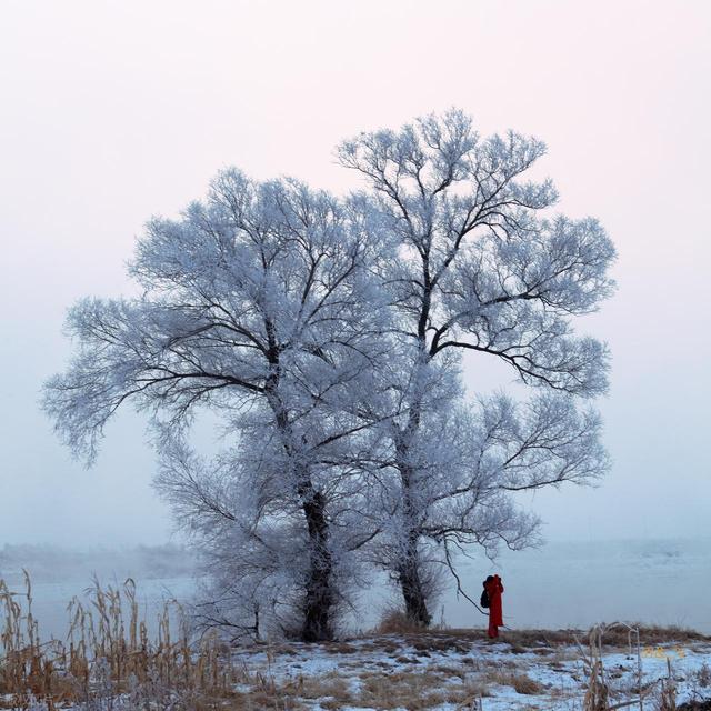 强烈建议！1 月一定要去一次雾凇岛！不愧是中国必看雾凇之一！