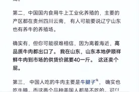 为什么进口牛肉反而比国产牛肉更便宜?网友的回答一针见血 长见识图片