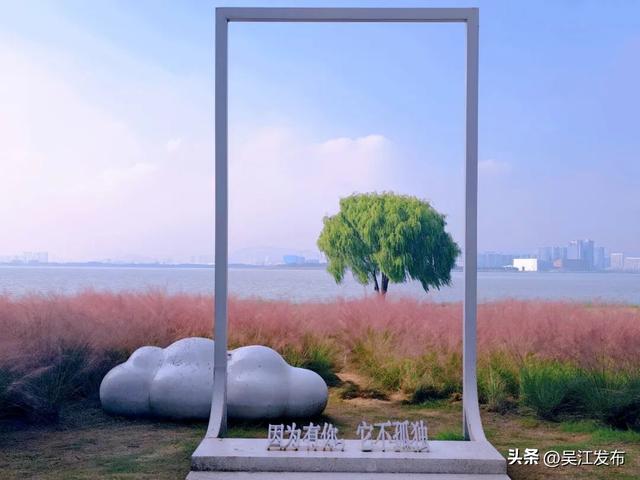 周末去打卡丨在吴江，赴一场粉色之约！