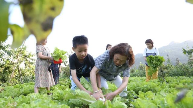 小关乡飞水村：清凉民宿里，唱响夏日慢生活