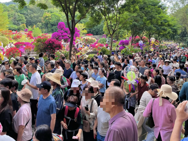 这周五，莲花山要热闹起来了！！