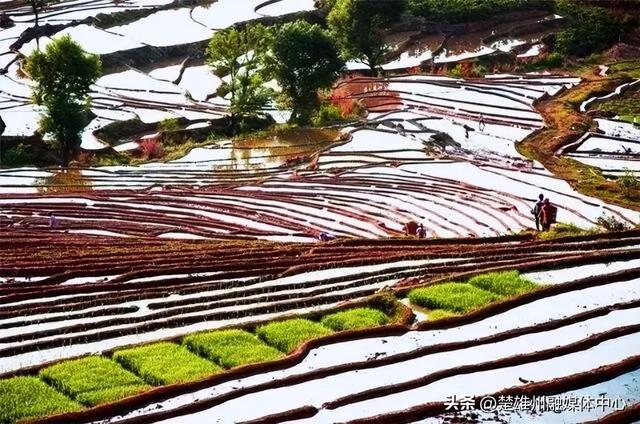 来楚雄，顺“路”丨四季康养·旅居楚雄