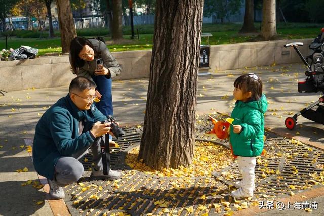 市中心的“金色会客厅”，成为了最欢乐的海洋！