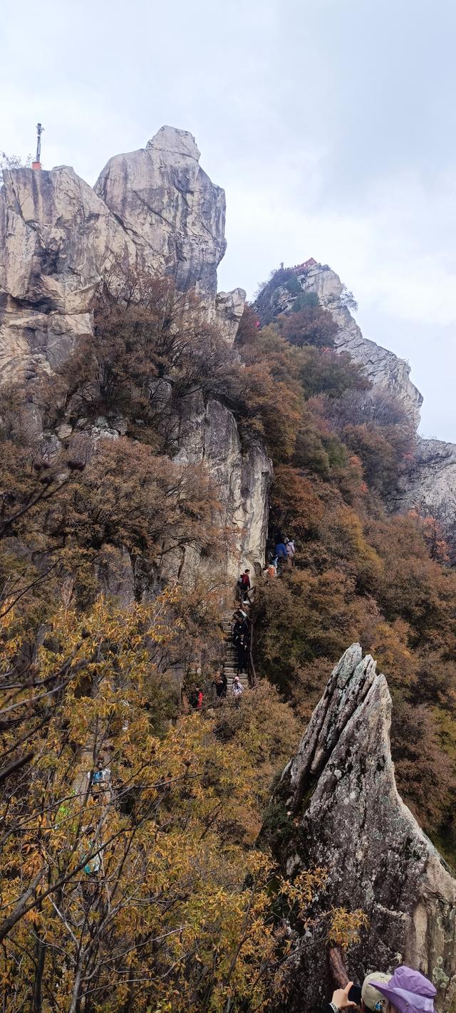 最爱秋意行不足 再上翠华赏秋色