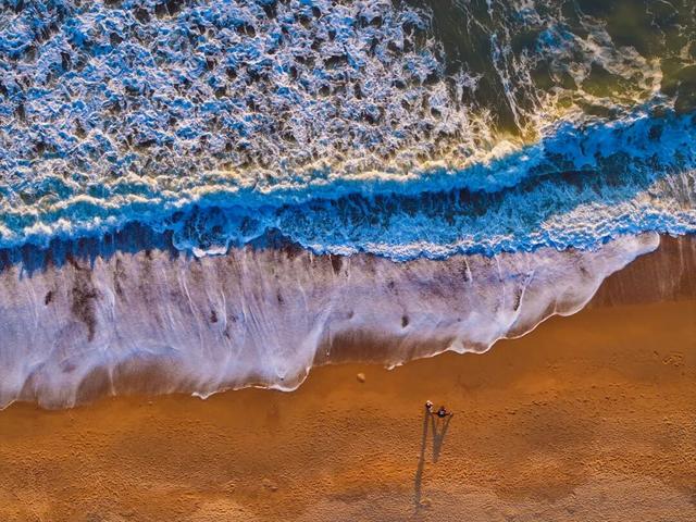 这是日照哪里？这么美！他们，她们，它们都来了！