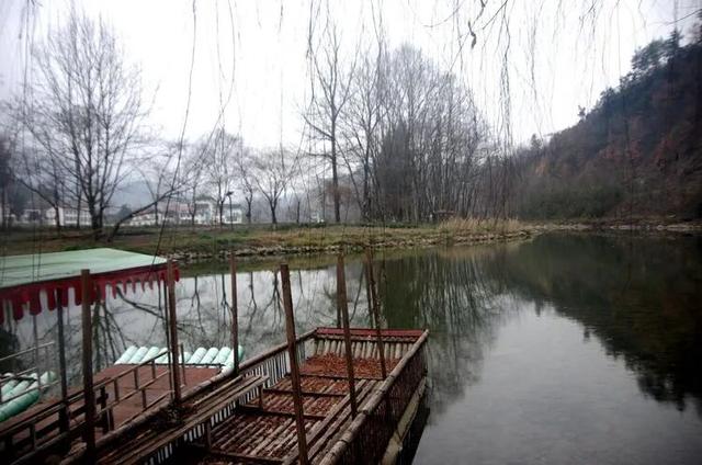 初雪落汉中，万亩茶园美成画！