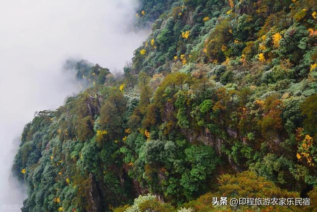 11月，宜春喊您来泡汤！温泉入户，暖秋养生正当时