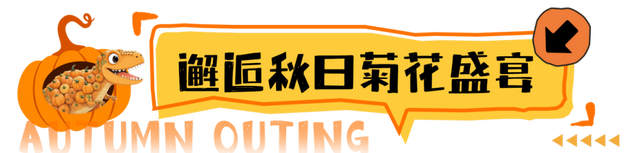 相约世界花卉大观园！丰台将迎巨型南瓜王国、全国菊花擂台赛！