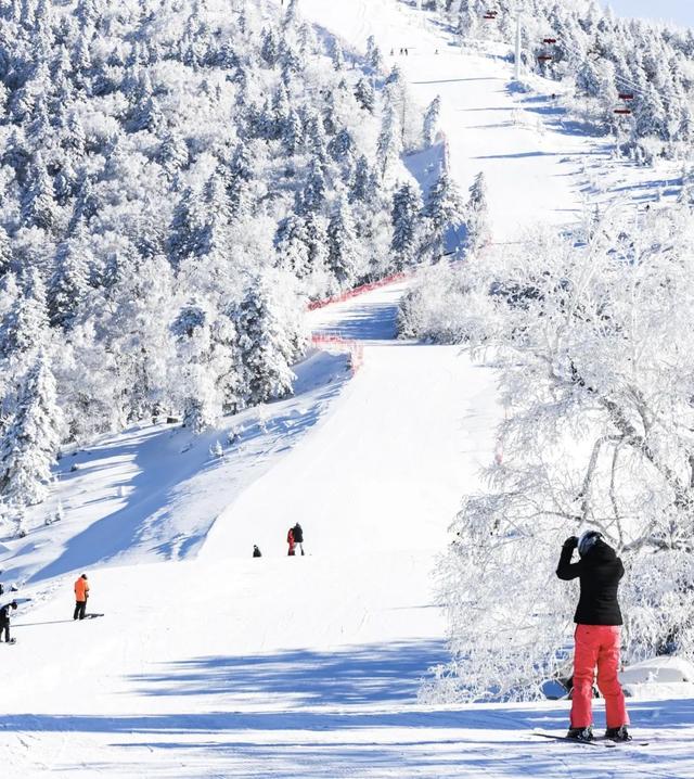 新黑马诞生！一放寒假就上东北，南方人为啥都扎堆去吉林过冬？