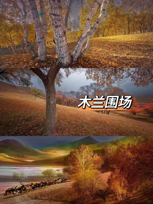 去河北承德玩了1周回来，说句大实话，这里真不是所有人能适应的