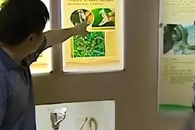 广西“蛇毒女王”：坐拥47亿蛇毒，打败美国资本，研发艾滋病疫苗图片