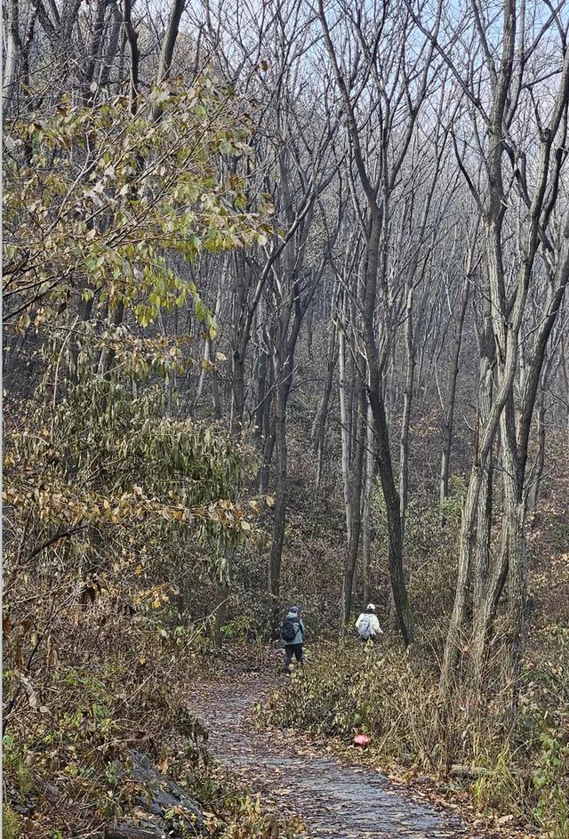 一脚踏进雪与秋的交界处,京郊深山里藏着深秋最温柔的惊喜!