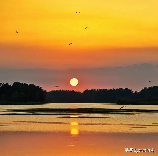 双城辉映:北京与上海的独特魅力,姚洋先居北京后定居上海太厉害
