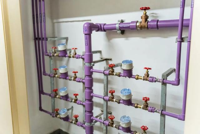 流行“色水”：紫！解说来了！