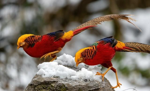 女人正不正经一眼便知：不正经的女人	，多半都有这五个特征！