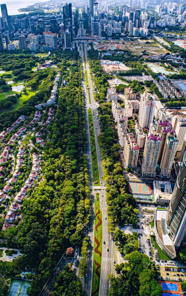 “宜居深圳”道路篇：山海与都市的交响