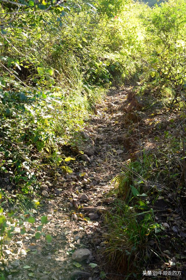 延庆应梦寺（五）：山巅极目收千嶂，林海听风涤尘心