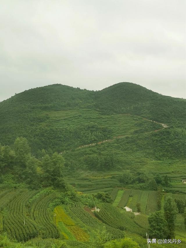 重庆奔赴抚仙湖沿途风景