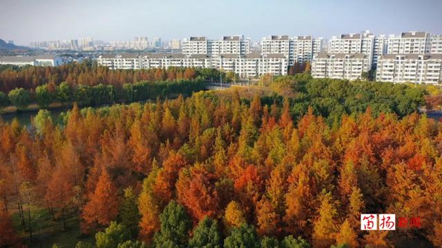 距离城区7公里,绍兴有一处秘境!