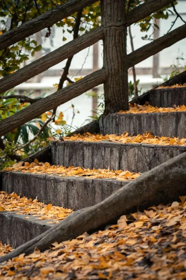 从街角到古村，一键解锁贵阳的秋日浪漫