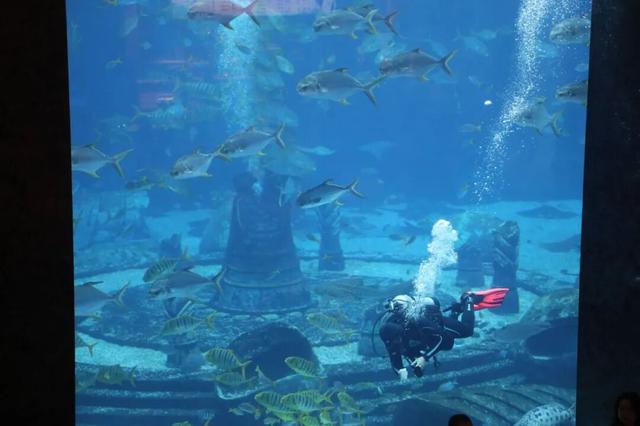 东盟网红漫游海南自贸港采风行走进三亚：邂逅水底套房的梦幻 畅享科技魅力