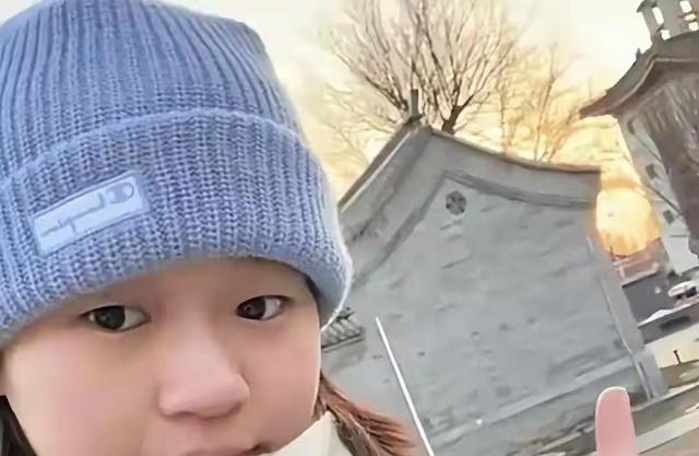 全红婵返京真相曝光：不是回归而是私事，旧伤还没恢复好