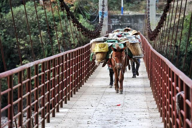 行走云南 | 茶马古道究竟有多少条？我们一起再来盘点茶马古道