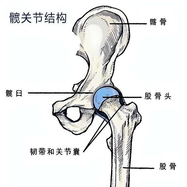 每天踮脚5分钟=走3000步！血管年轻化“懒人运动法”