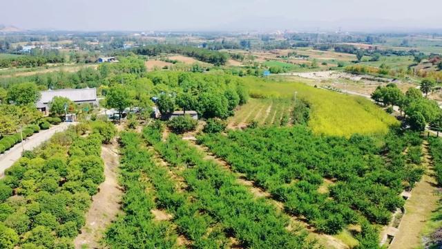 大美泌阳：水 墨 春 水