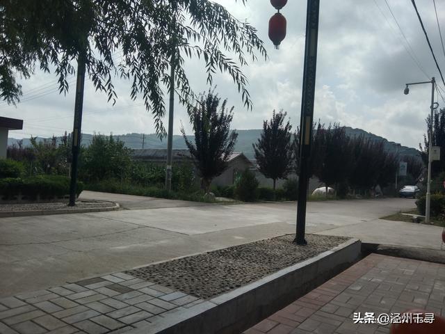 泾川县汭丰镇东王村：寻一处乡野，赴一场闲逸