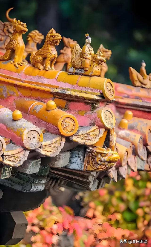 故宫的秋天，美到我失语