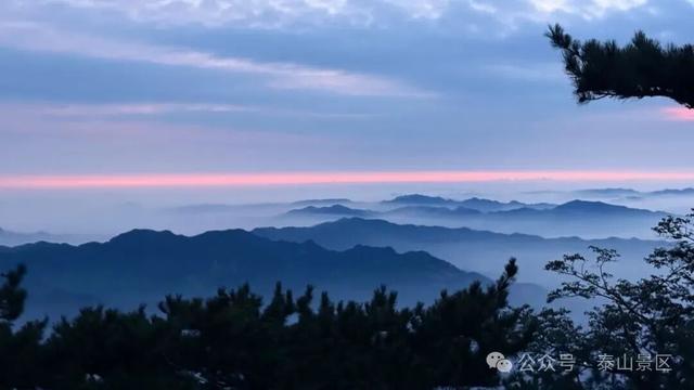 我想离开浪浪山，去看看泰山的四季轮转！