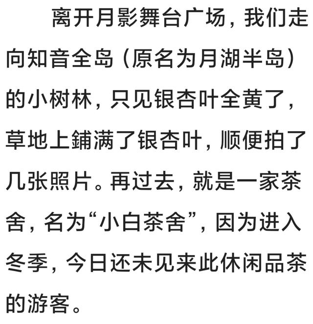 行走在月湖公园