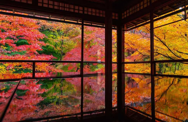 风向突变，第一批去日韩旅游的人，已经被“照骗”整破产了？