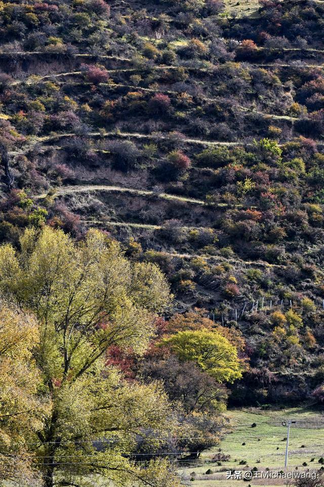 古意秋风三万里（D30）-从迭部到松潘