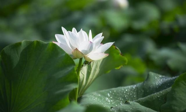 实至名归；世界十大最美城市，中国温州跻身榜单，惊艳全球！