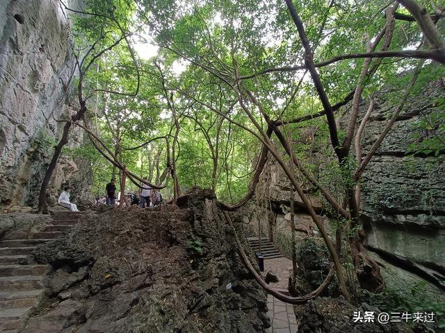无为在歧路，贵州六日行（8）～黄果树