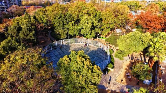 硚口区“就地取材”激活小微空间 育苗基地变身“森系”游园 市中心就能畅快体验：森林溯溪 + 露营 + RC越野