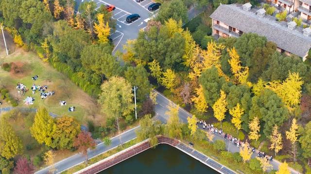 绝了！黄陂最被低估的宝藏赏秋地！