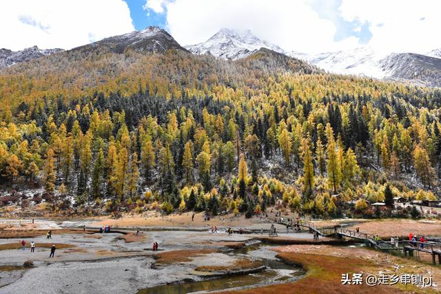 深秋走进理小路