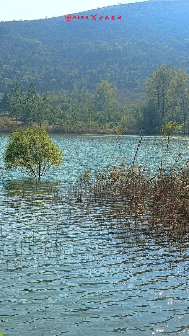 宿州私藏了个“小九寨沟”！就在萧县官桥镇，美到犯规！