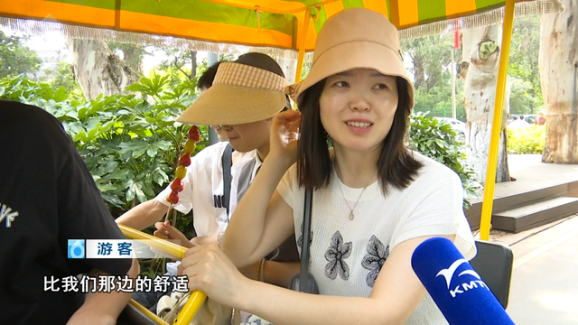 “比老家凉快10℃！”游客狂赞昆明骑行：绿道美、配套全、避暑绝了~