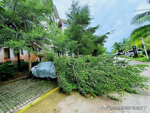 晚霞姐带你探寻海南的真实面貌——写于台风“剑鱼”过境之后